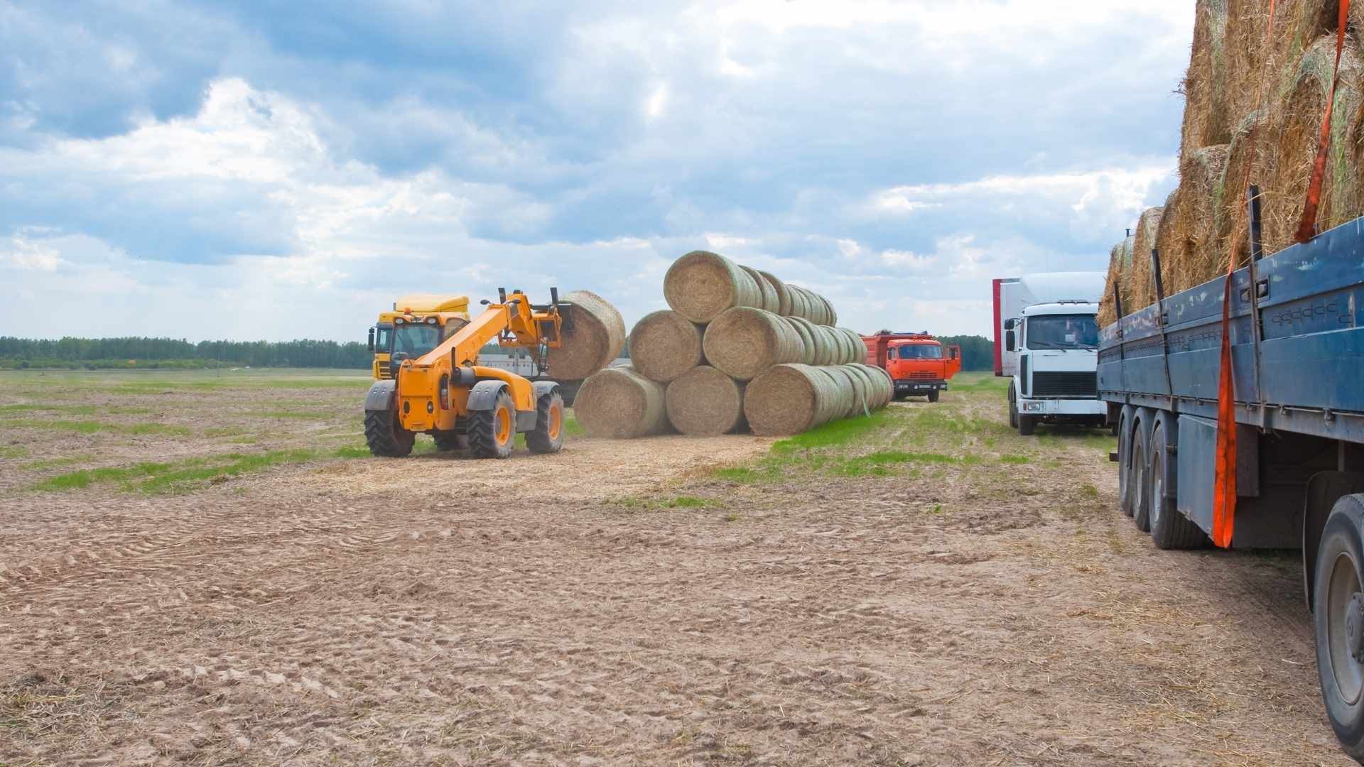 Farm tasking and crew app with block lists, maps, and work orders