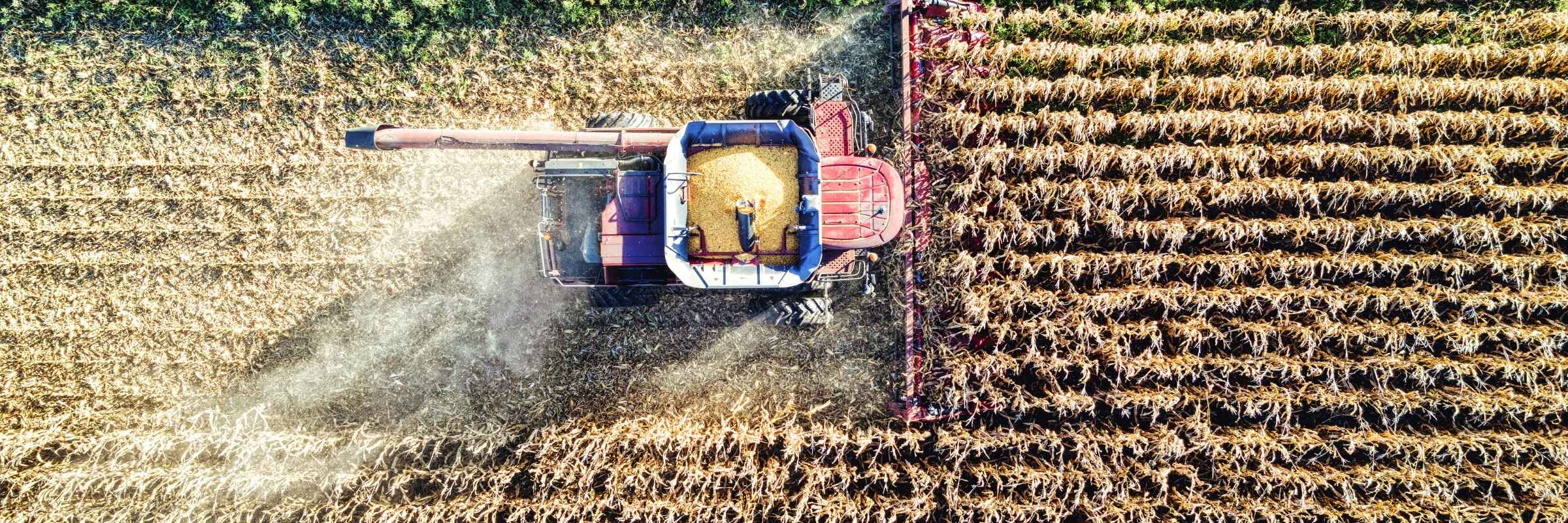 Agriculture panoramic — fields, irrigation, harvest, and shop operations
